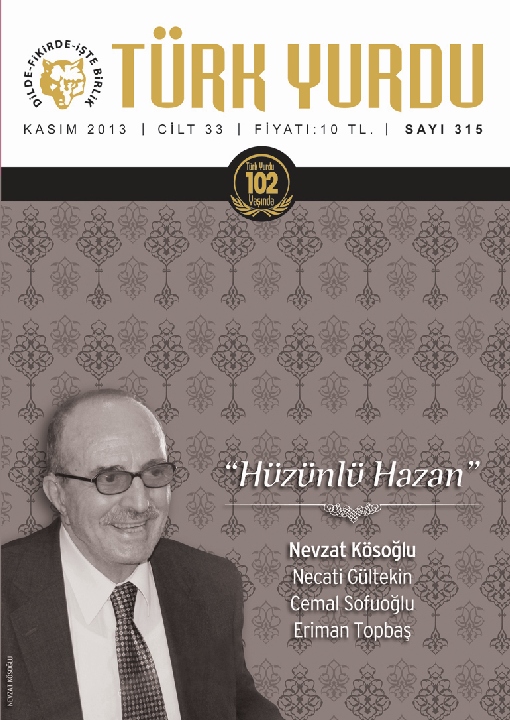 Türk Yurdu Kasım 2013